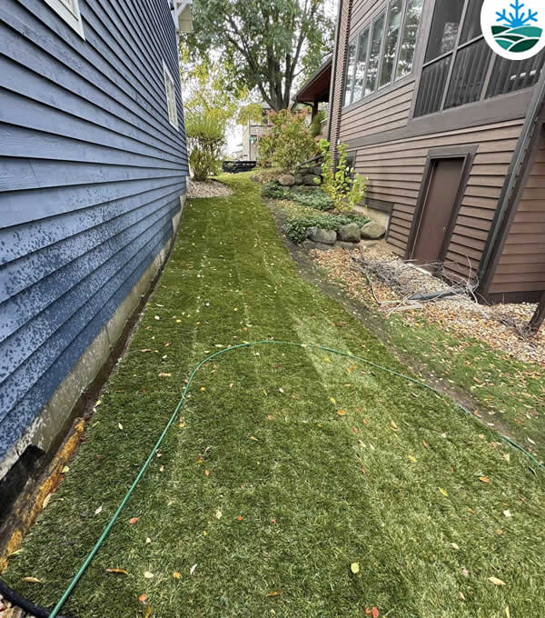 Complete Aeration and Overseeding Services