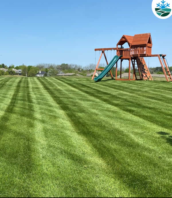 Complete Lawn Care & Maintenance Services