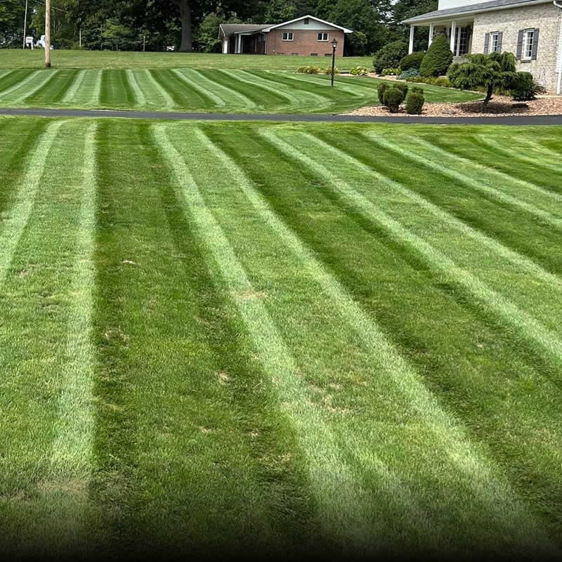 Lawn Care Services in Madison WI