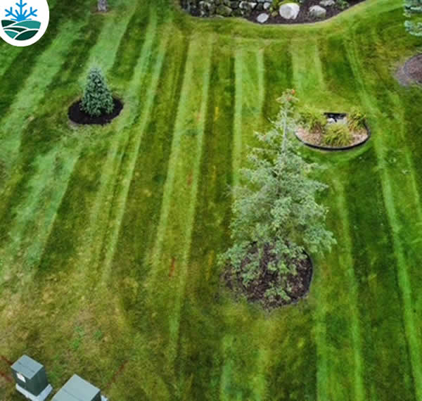 Climate and Plant Selection in Madison WI