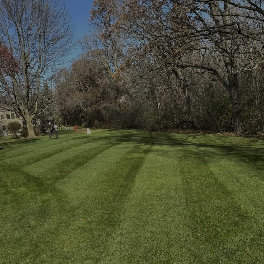 Madison WI Aeration and Overseeding Services WI