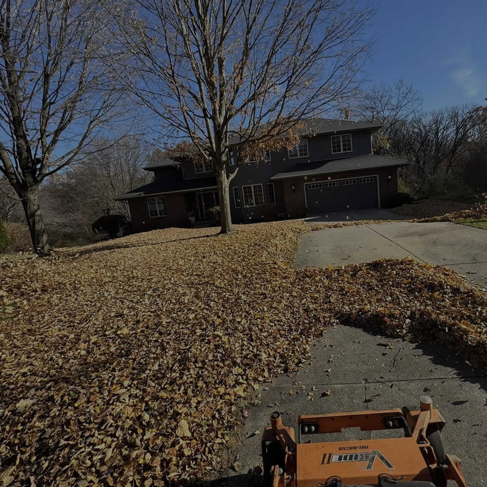 Madison WI Spring and Fall Cleanup Services WI