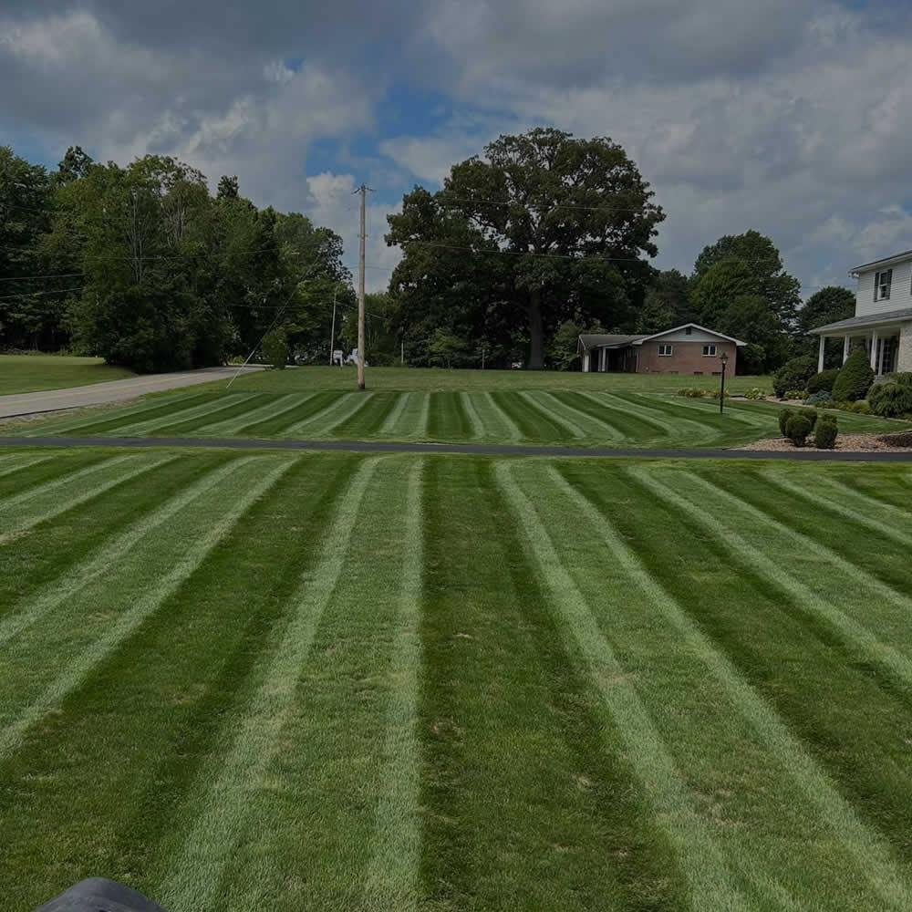 Madison WI Weed Control and Fertilization Services WI