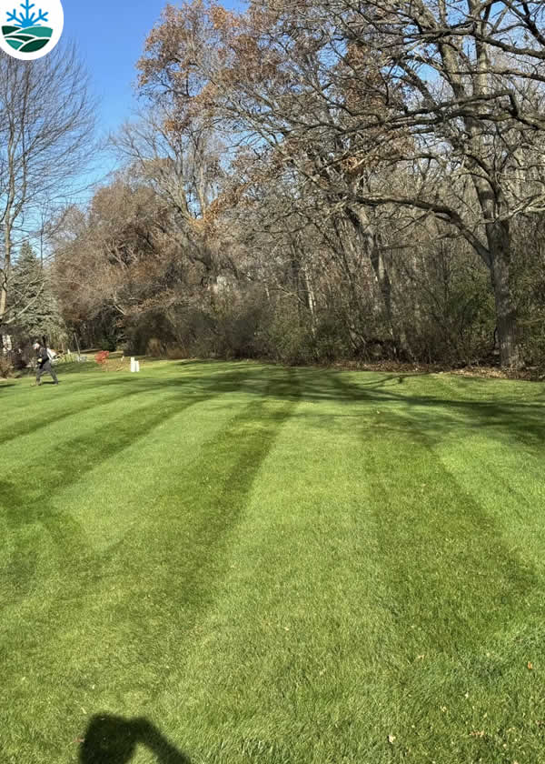 About Our Weed Control and Fertilization Services in Madison WI